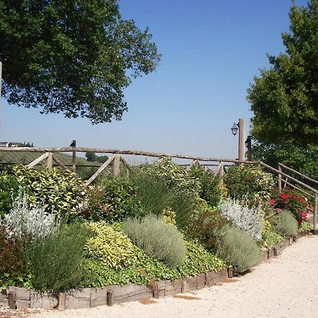 Tenuta Colverano Montefalco Exterior photo